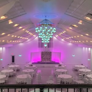 WhatsApp Image 2025-07-03 at 1.47.19 AM